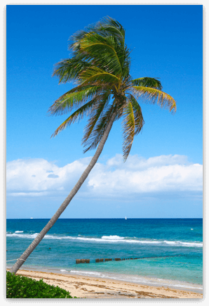 Palm Beach - Beaches, Water and Weather