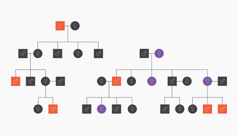 Family Tree of how addiction genes are passed