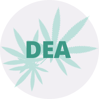 U.S. Drug Enforcement Administration DEA Task Forces