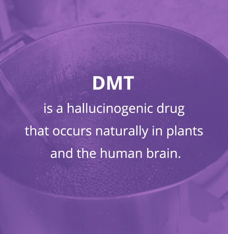 DMT is a hallucinogenic drug that occurs naturally in plants and the human brain.
