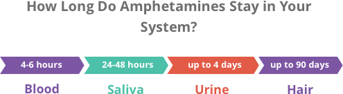A timeline showing how long amphetamines stay in your system.