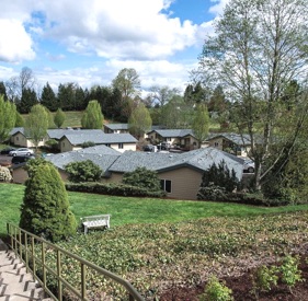 Courtyard area