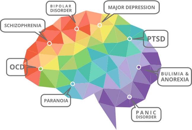 Diagram showing various mental health disorders that can co-occur with addiction.