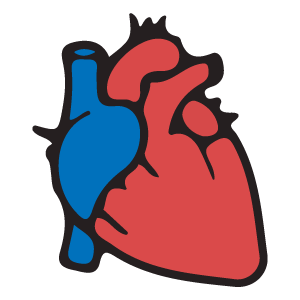 Long-term effects of alcoholism on the heart