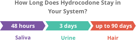 How long hydrocodone is detectable in your system?