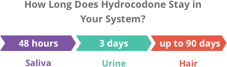 How long does adderall stay in your system for urinalysis - pixpassa