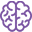 brain icon