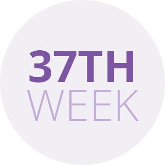 37th week icon