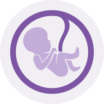 placenta icon