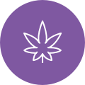 Purple marijuana leaf icon