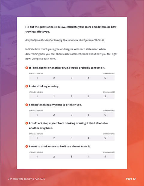 Sobriety e-Book Page 43 - Alcohol Craving Questionnaire