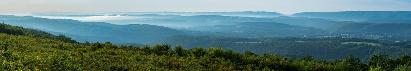 View of forested mountain range