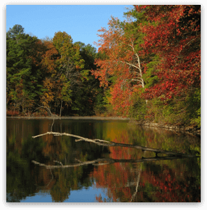 Outdoor Activities Atlanta