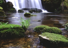 Waterfall and stream