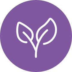 Growing plant icon