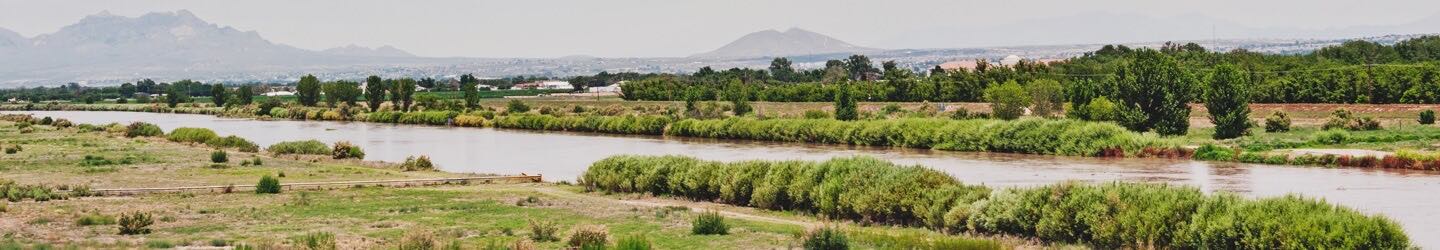 Landscape of deserty plain