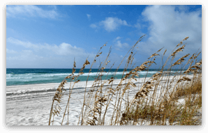 Pensacola - Visit the Beach