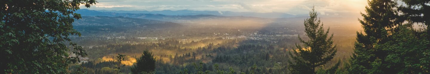 Portland city with mountain range view