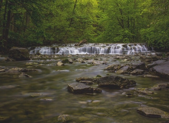 Flowing stream in the woods