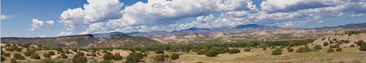 Landscape view of the desert