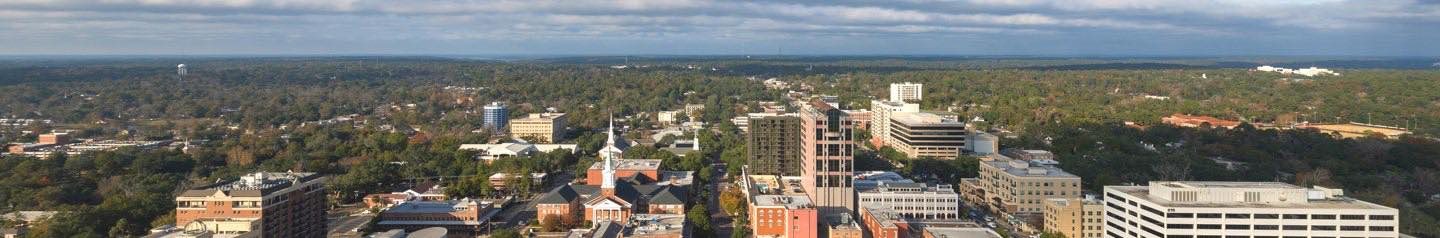 Tallahassee landscape