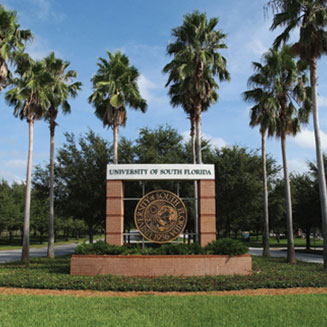 University of South Florida