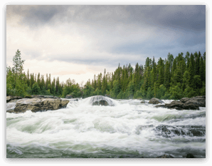 A flowing river in the forest.