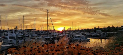 Bellingham, Washington marina at sunset