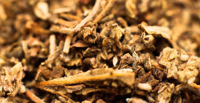 Synthetic Marijuana Abuse Rising in Tampa Area