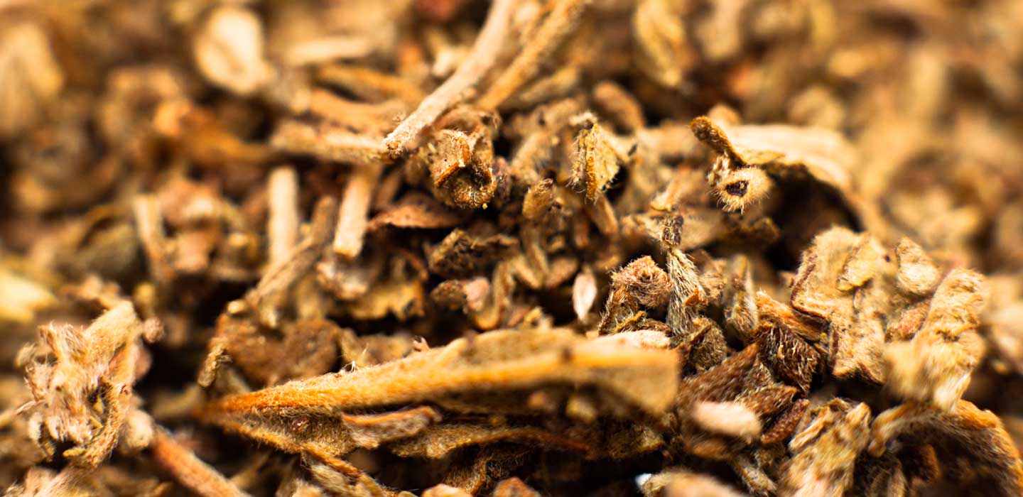 Spice (Synthetic Marijuana) Rising in Tampa