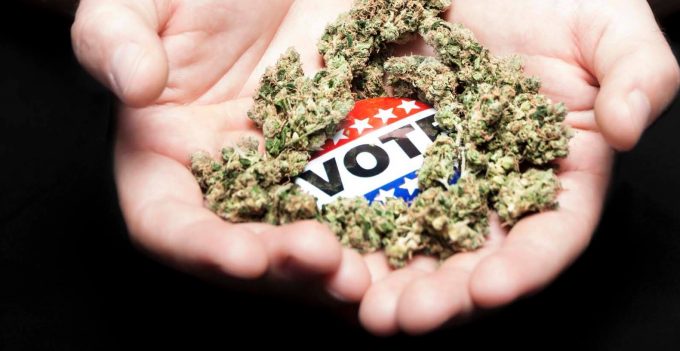 Election 2016: If Polls Hold, Marijuana Access Expected to Increase