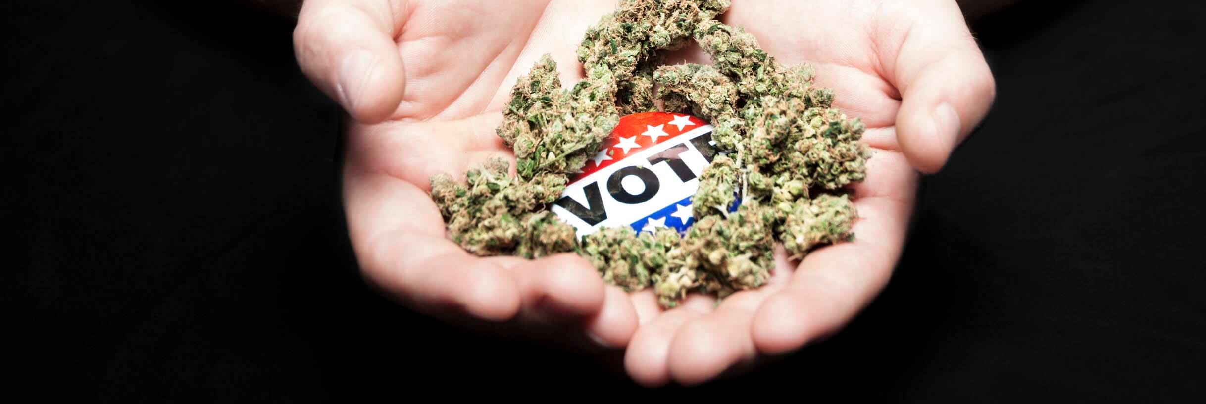 Vote medical canabis