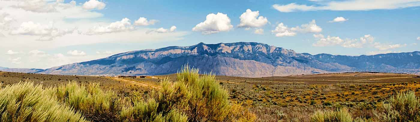 New Mexico Landscape