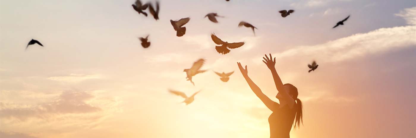 Girl and flying birds in sunset