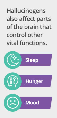 Long Term Effects of Hallucinogenic Infographic