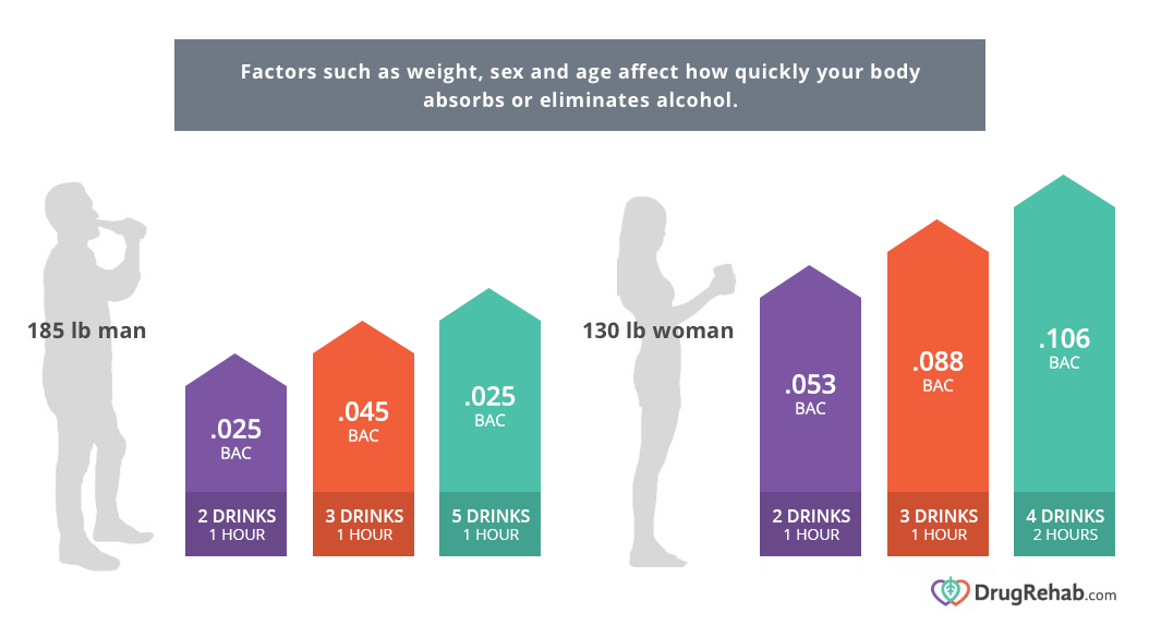 How long alcohol stays in your system infographic