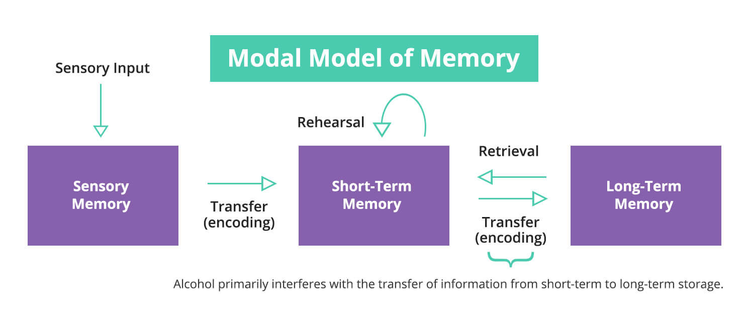 How alcohol affects memory